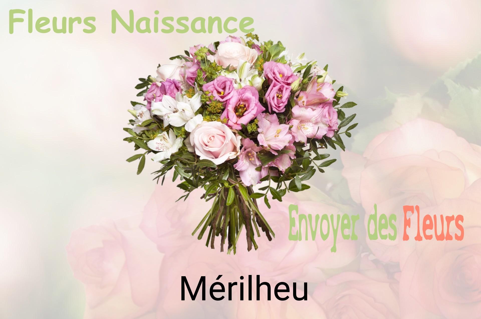 Bouquet de fleurs de naissance livré à Mérilheu